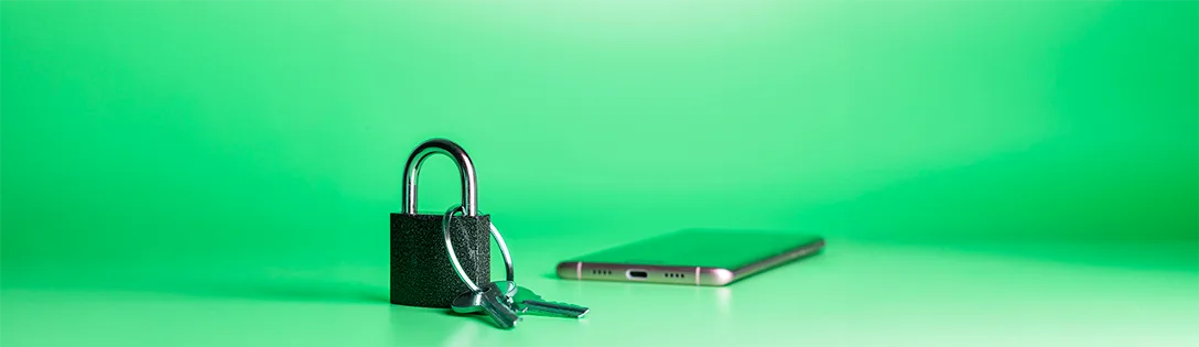 saiba como evitar fraudes digitais na sua empresa