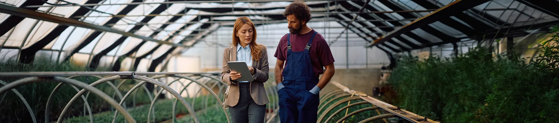 Profissional com tablet ao lado de agricultor em estufa, utilizando a assinatura eletrônica em contratos agrícolas.